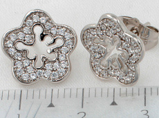 Серьги ffke08800-ZZ8688 фото Серьги - (артикул - ffke08800-ZZ8688)